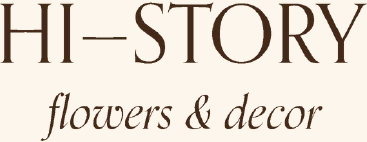 Logo Hi-Story