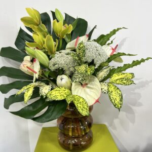 Imagen Tropical Paradise