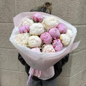 Imagen Peony Dream