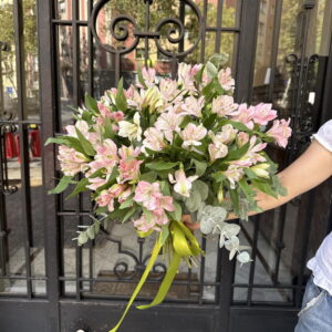 Imagen Pink alstroemeria
